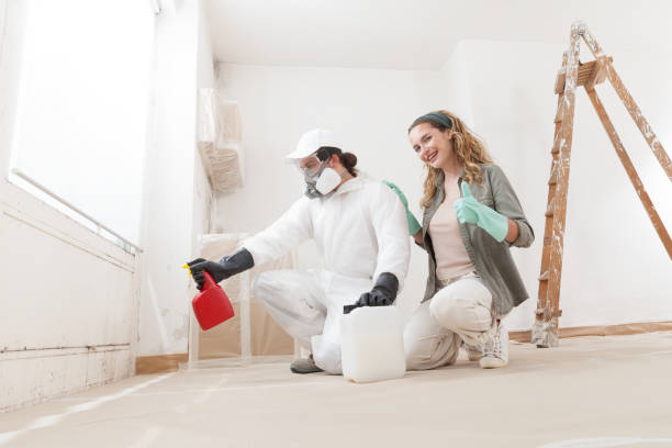 Best Mold Remediation for Healthcare Facilities  in Milford, DE